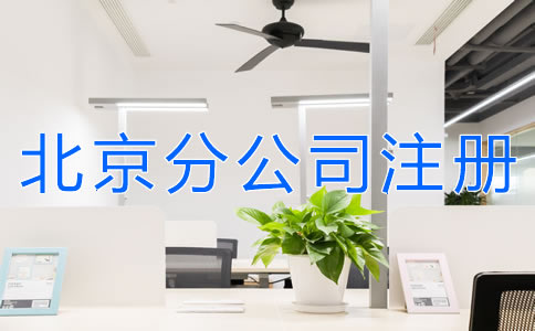 北京分公司注冊材料